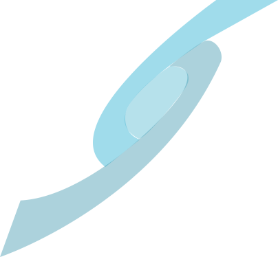maincatch-logo